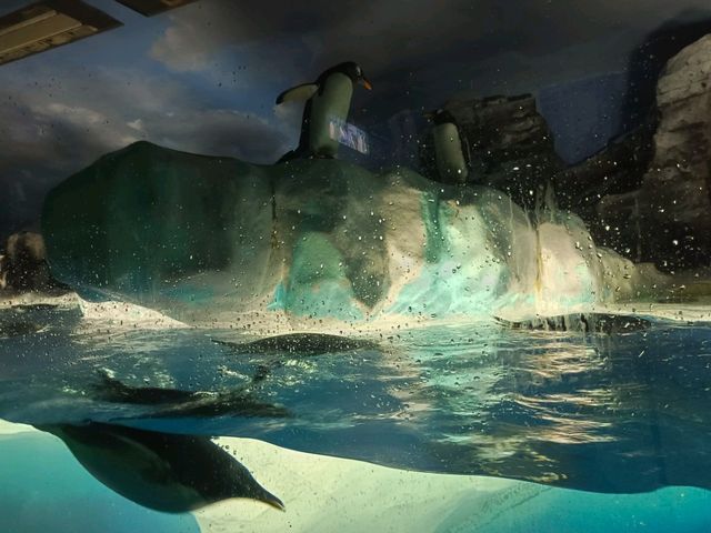 名古屋港水族館