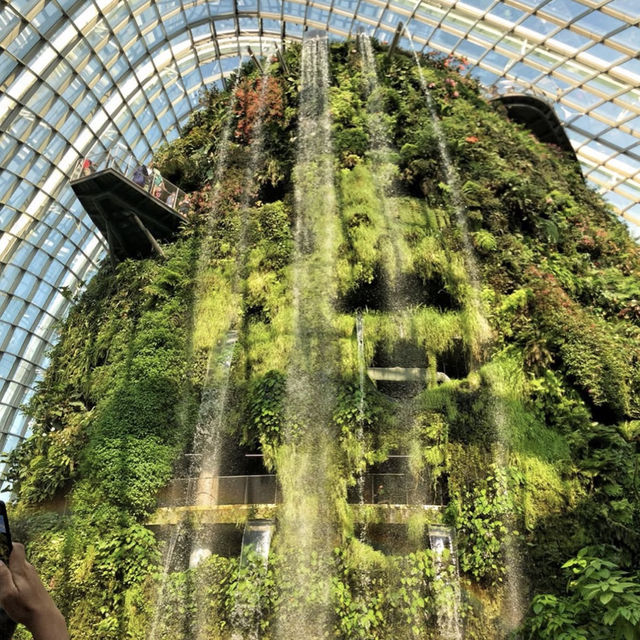 新加坡旅遊行💕