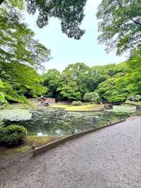 Quiet Moments at Koishikawa Korakuen Garden – Tokyo