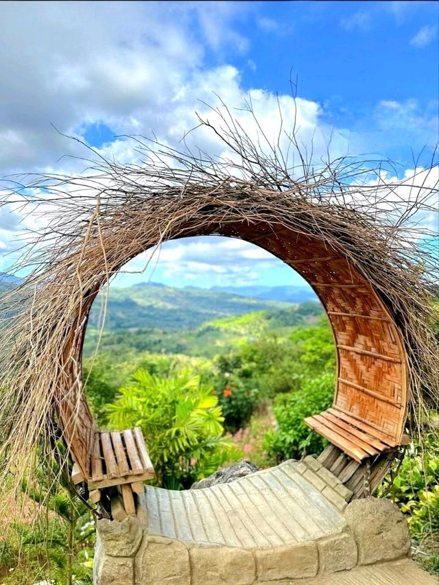 Sirao Flower Farm – A Colorful Escape in Cebu
