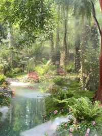 Chengdu’s New Hidden Gem: A Real-Life Emerald Forest Escape! 🦋🌿