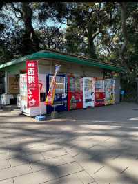 西郷隆盛銅像で幕末の英雄にご対面！鹿児島旅の記念にぴったりの一枚を📸 