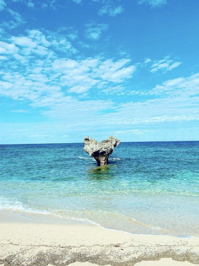 🏝️沖繩北部經典一日游|絕美海景+秘境打卡 🏝️沖繩北部經典一日游|絕美海景+秘境打卡