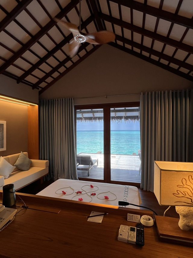 🇲🇻モルディブの楽園【Cinnamon Velifushi Maldives】に2泊3日でステイ🏖️🌺