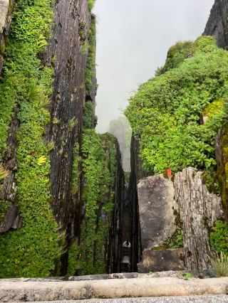 판징산: 단순한 풍경이 아닌 여정