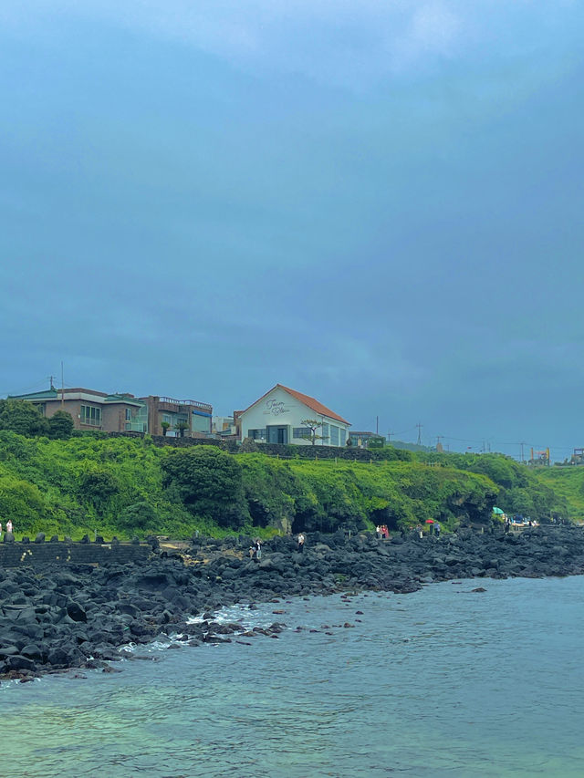 🏖️ 여름 제주도, 바다 따라 걷기만 해도 힐링이야🌊✨