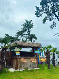 ํ์์ด ๊ฐ์ฑ ์ค์
๋ทฐ ๋ธ๋ฐ์น, ์ธ์ฐ ํ๋ ๋ธ๋ฃจ