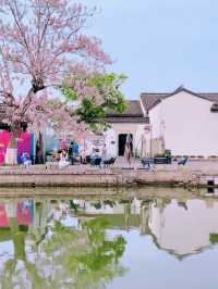 Hangzhou｜Xianghu Academician Island – Quiet but Less Photogenic Than Liangzhu