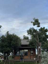 ดอกไม้ประตูแจกัน 💐🚪🍶