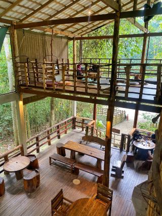 Sippin’ in the Forest: Pinto Coffee Has It All