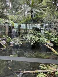 🇦🇺メルボルン博物館「First Peoples」 – オーストラリア先住民の物語に触れる場所