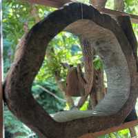 สวนป่าตากา คาเฟ่ อำเภอวังเจ้า จังหวัดตาก