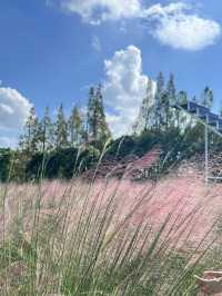 Jiabei Country Park Travel Guide｜A Floral & Countryside Escape Near Shanghai