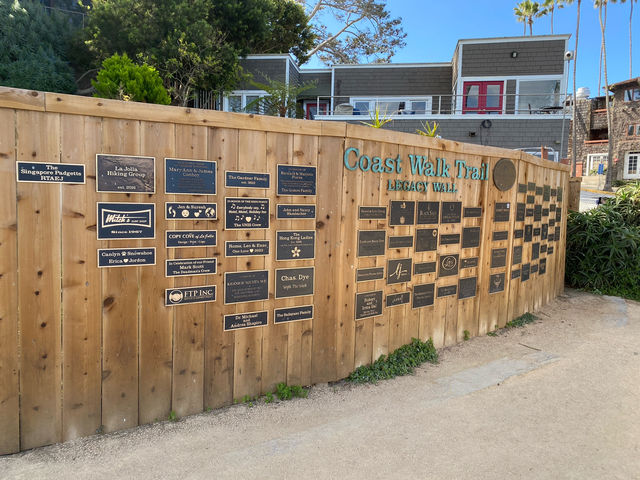 聖地牙哥 La Jolla 拉荷亞海灣 與海獅海豹一起賞日出
