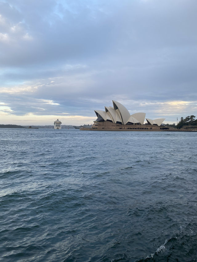 Day walk in Barangaroo