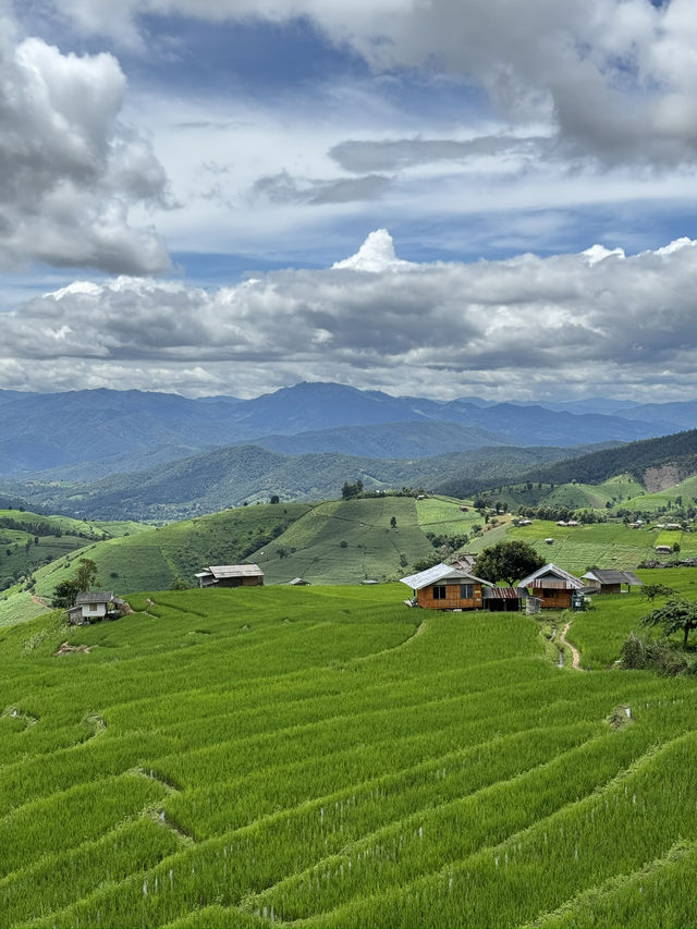 บ้านป่าบงเปียง จ.เชียงใหม่ 🏡⛰️🌦️🌾 บ้านป่าบงเปียง จ.เชียงใหม่ 🏡⛰️🌦️🌾
