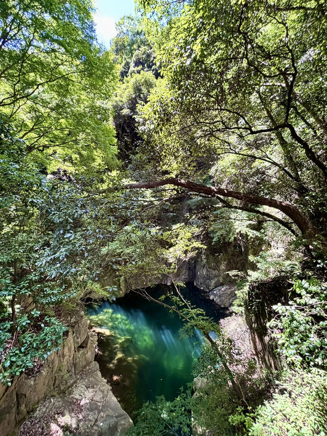【兵庫 神戸】布引の滝