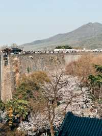 Mùa xuân ở Nam Kinh