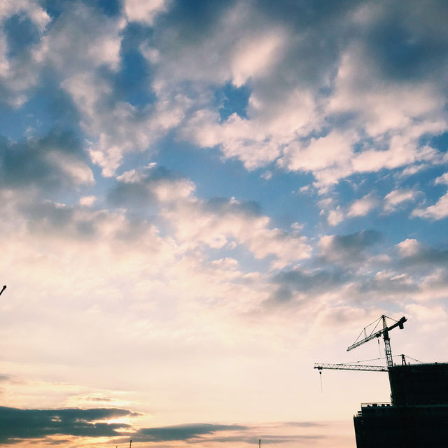 🇳🇱アムステルダム NDSMワーフで夕焼け散歩＆ディナー体験