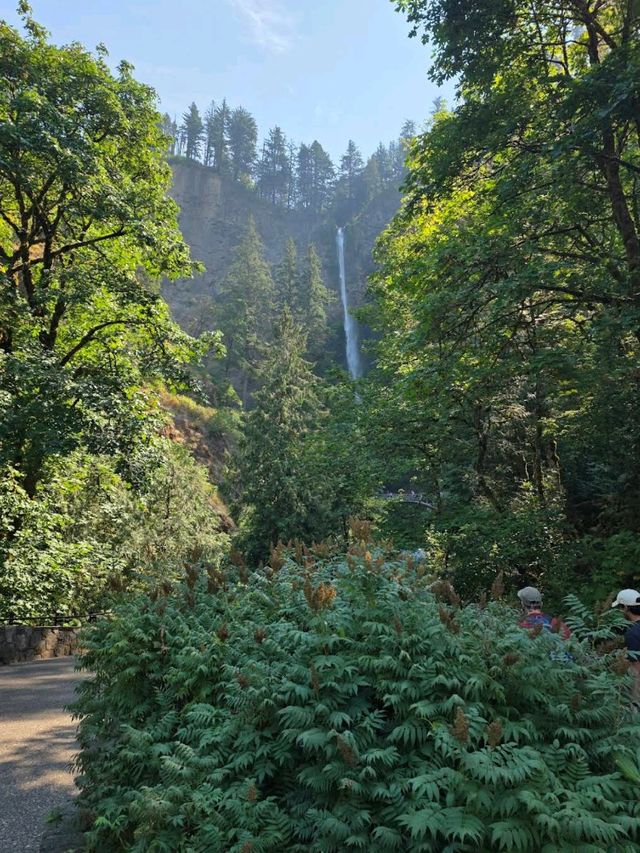 Multnomah Falls (OR)