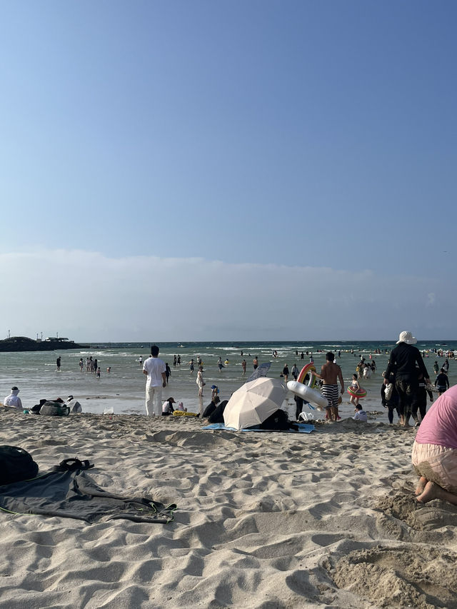 여름이 떠나가기 전 동쪽 제주 🌻