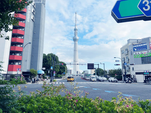 🌈🌟 穿越時光的魅力：淺草寺與仲見世商店街 🏯🧳