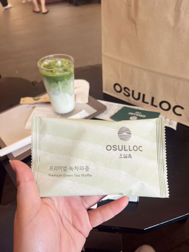 🇰🇷室內活動大集合雪綠茶體驗  🍵
