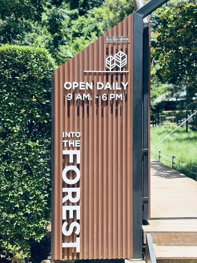 Into the Forest Cafe — กระบี่ 🍵