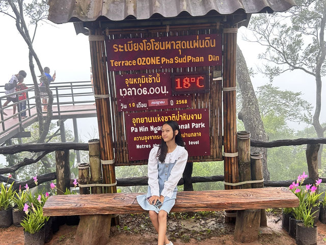 หมอกสวยๆ ที่ป่าหินงาม