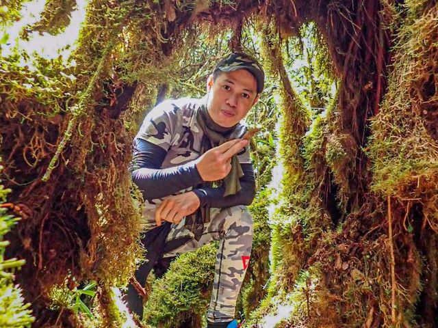Mossy Forest──雲霧間的夢幻秘境