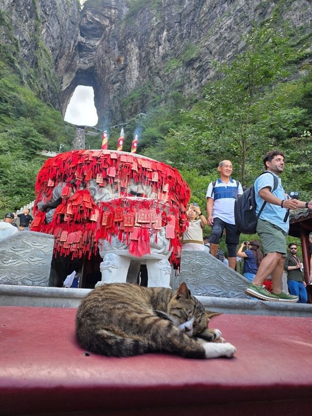 Подробный гид по горе Тяньмэньшань в Чжанцзяцзе Подробный гид по горе Тяньмэньшань в Чжанцзяцзе