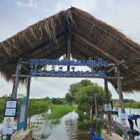 🚣พายแคนูชมวิว ที่สวนพฤกษศาสตร์ระยอง 🚣
