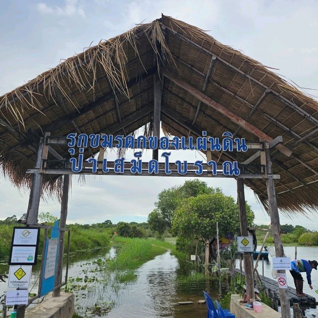 🚣พายแคนูชมวิว ที่สวนพฤกษศาสตร์ระยอง 🚣