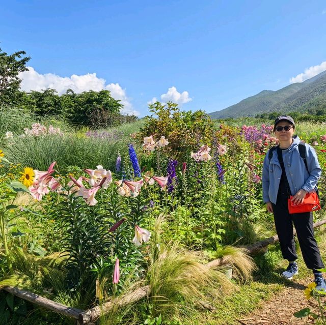 親子遊好去處！靚爆花海🌻聽花谷-麗江百花園
