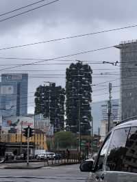 🍇 Milano Beyond the Center 🇮🇹