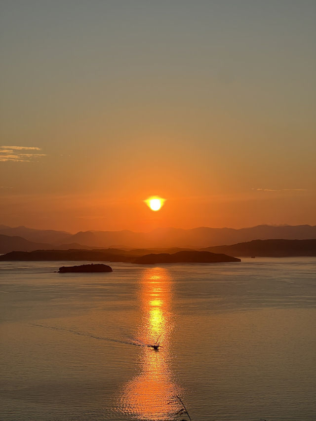 Padar Island 💚