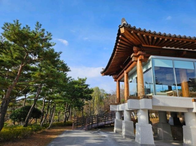 가을 단풍이 예쁜 경주 불국사 여행 🍁