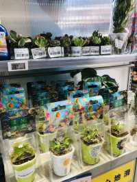花香超市速寫：尋常日子的浪漫邂逅🌸  