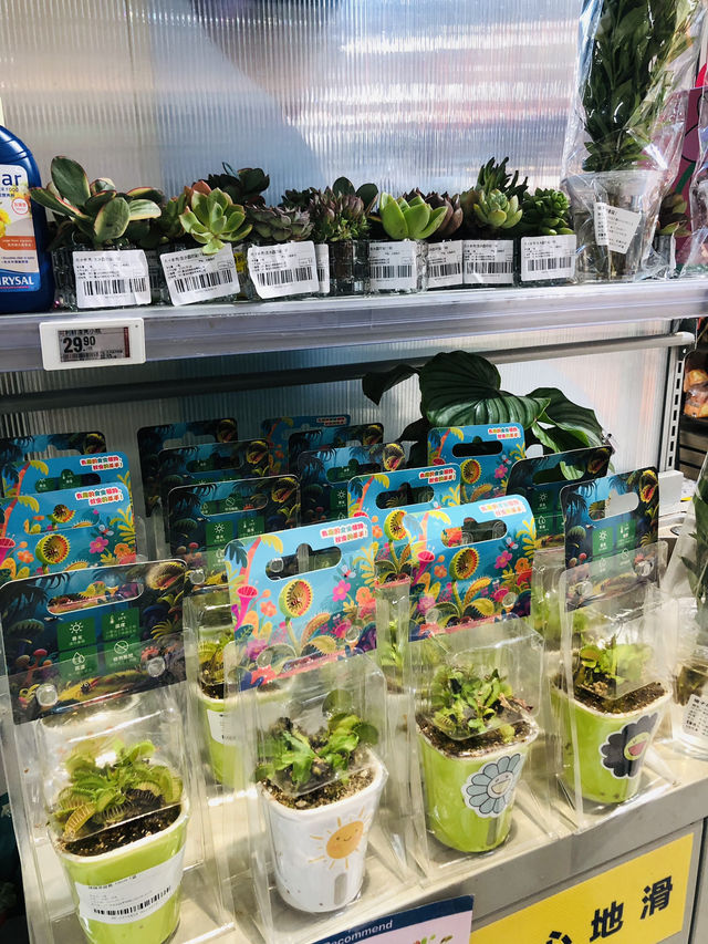 花香超市速寫：尋常日子的浪漫邂逅🌸  