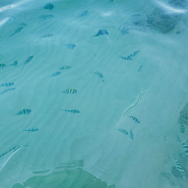Sea Bliss Awaits🌊  