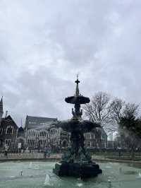 瓦納卡之樹打卡靚景🌳