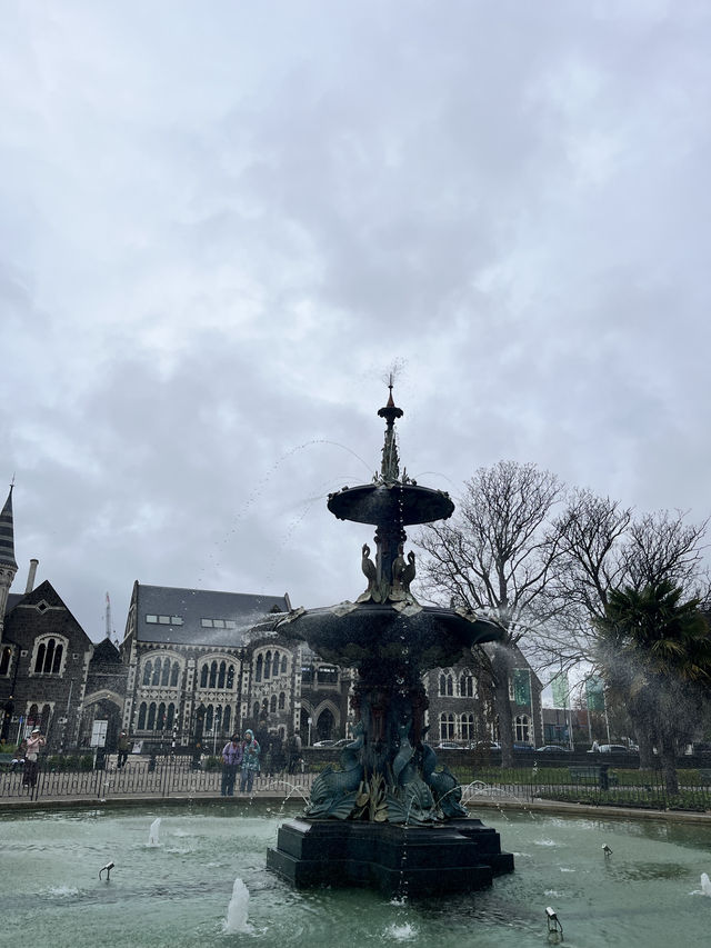 瓦納卡之樹打卡靚景🌳 瓦納卡之樹打卡靚景🌳