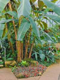 영국 런던 여행 필수 코스! 영국 큐 왕립 식물원