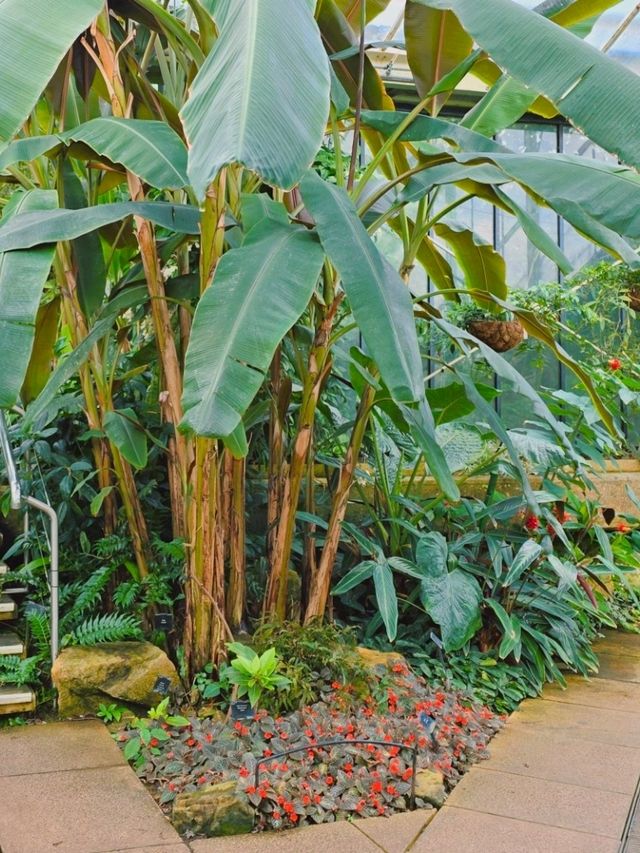 영국 런던 여행 필수 코스! 영국 큐 왕립 식물원