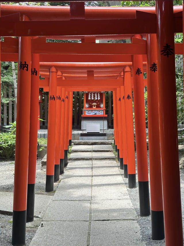 東京🇯🇵 · 近郊篇 - 熱海一日遊🎏🍮🌊