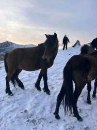 Kangding Snow Dream❄️