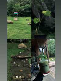คาเฟ่เปิดใหม่ในเชียงรายมีน้ำตกไหลผ่านธรรมชาติ