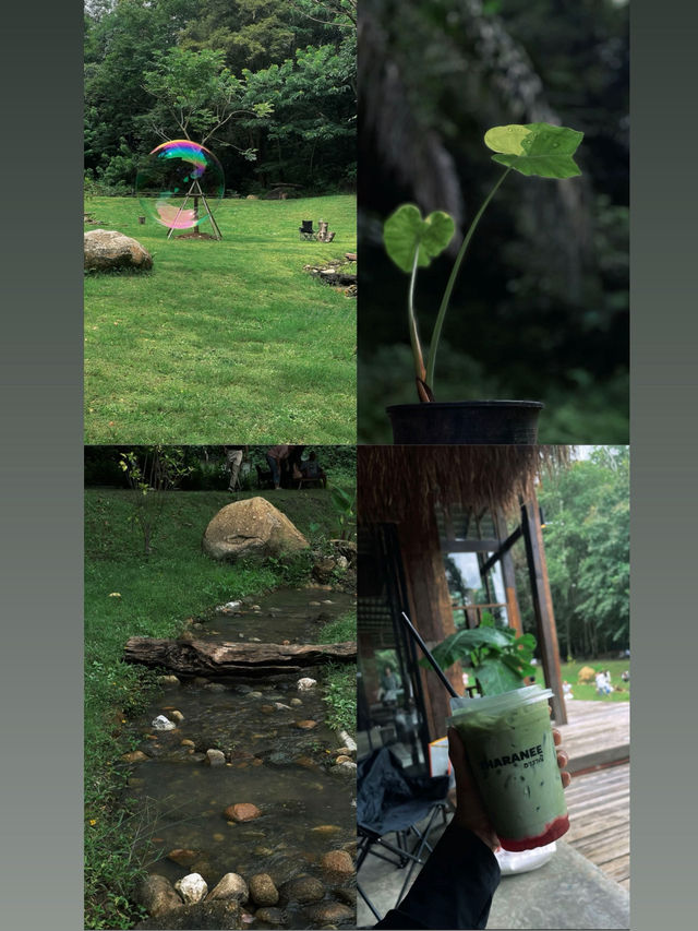 คาเฟ่เปิดใหม่ในเชียงรายมีน้ำตกไหลผ่านธรรมชาติ