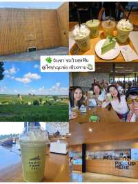 🌿 จิบชา ชมวิวสุดฟินที่ไร่ชาฉุยฟง เชียงราย 🍵