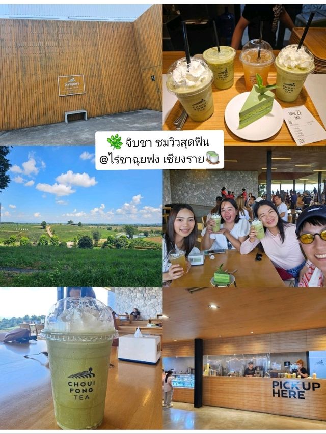 🌿 จิบชา ชมวิวสุดฟินที่ไร่ชาฉุยฟง เชียงราย 🍵